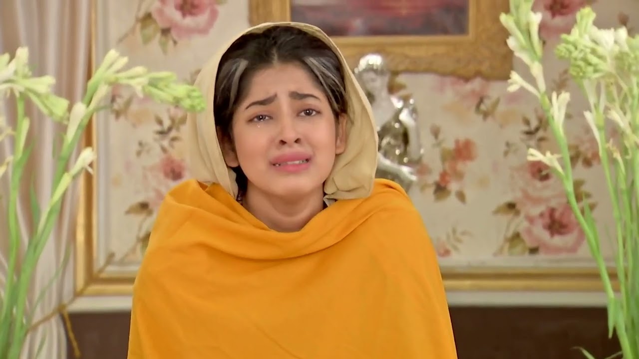 Rani Rashmoni - Ep 985 - Subrata Roy, Ditipriya Roy - Bengali Tv Serial - Zee5 Bangla Classics