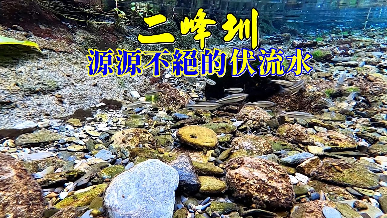百年源源不絕的伏流水 屏東來義 二峰圳