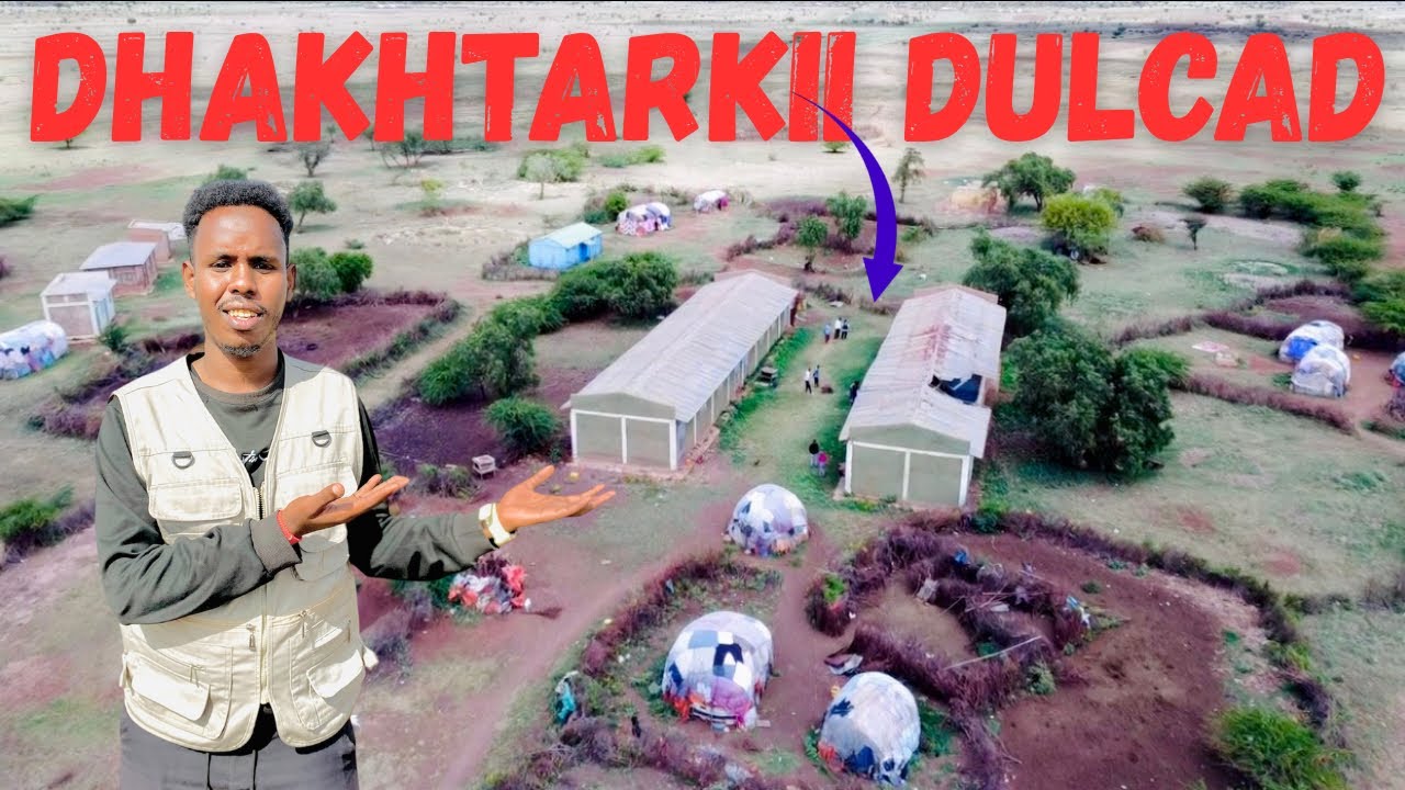 HALKII LOO QAXAY 1988KII || DULCAD