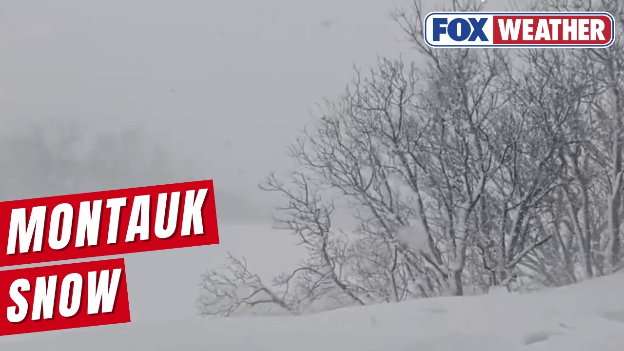 Watch: Scenes Around Montauk Show Extreme Snow, Hurricane-Force Winds From Historic Blizzard