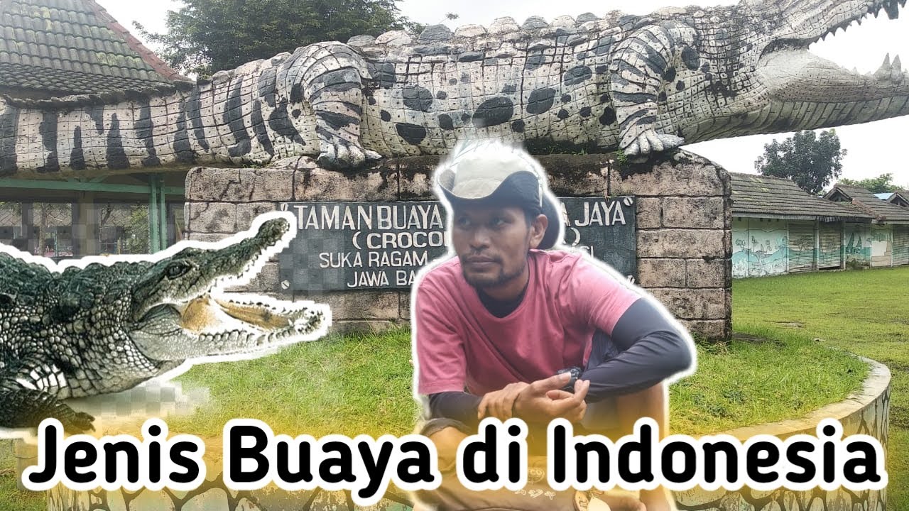 4 Jenis Buaya di Indonesia
