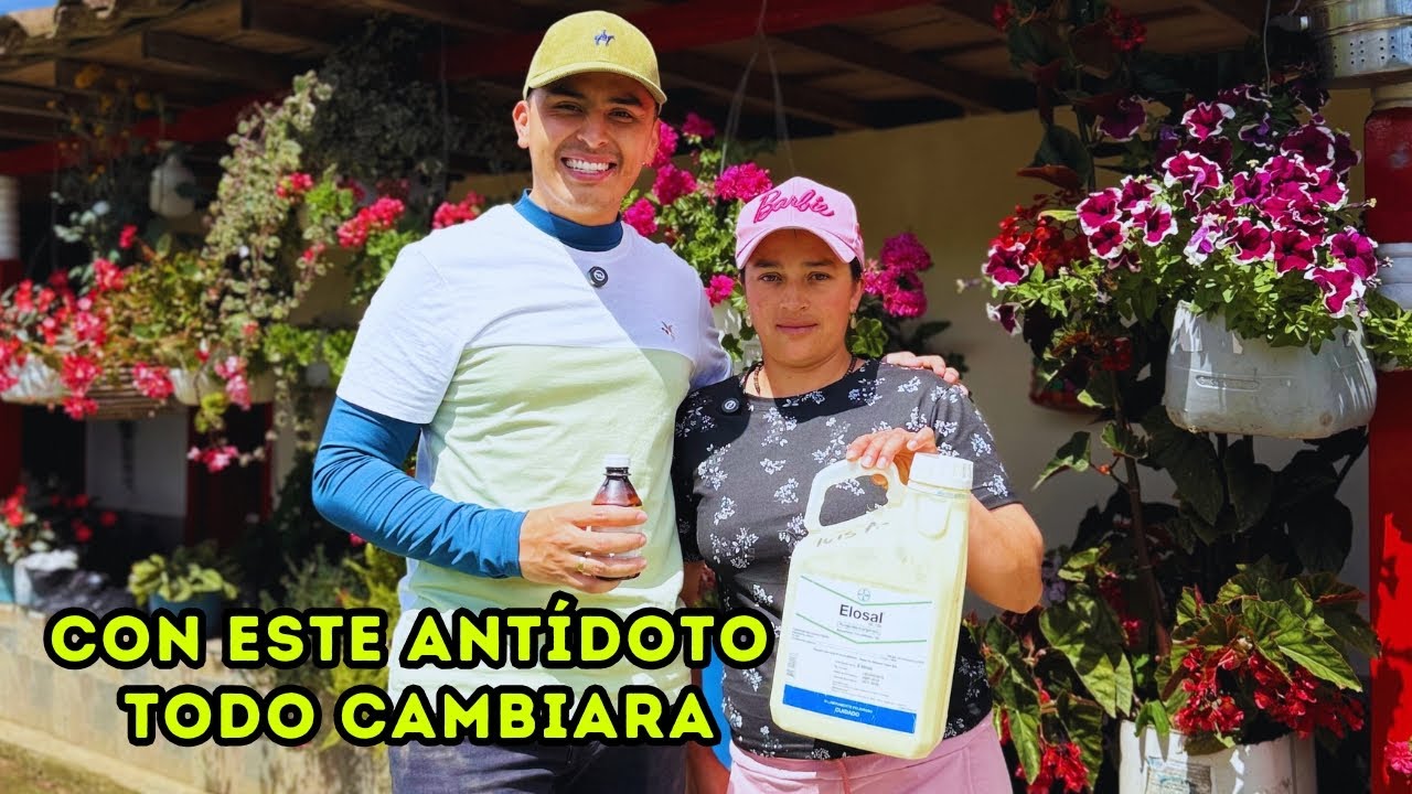 Suscriptora me dejo asombrado con su JARDÍN, de NOVATA a EXPERTA en PLANTAS |AP