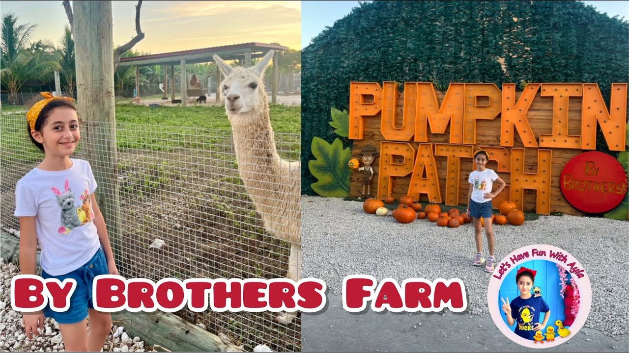 By Brothers Farm🌻fun things to do in Miami