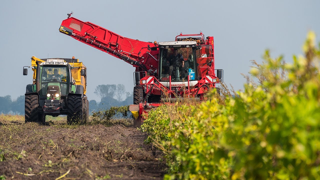 Aardappels rooien met Grimme Varitron 470 Platinum TERRA TRAC / Agro Giethoorn / Fendt