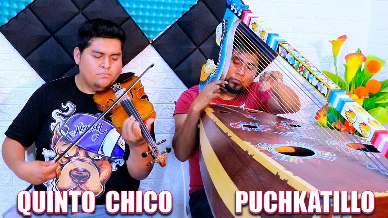 Tradicional Huayno Arpa y Violín Con QUINTO Chico de Sondondo Y PUCHKATILLO de Canaria🎻🎵