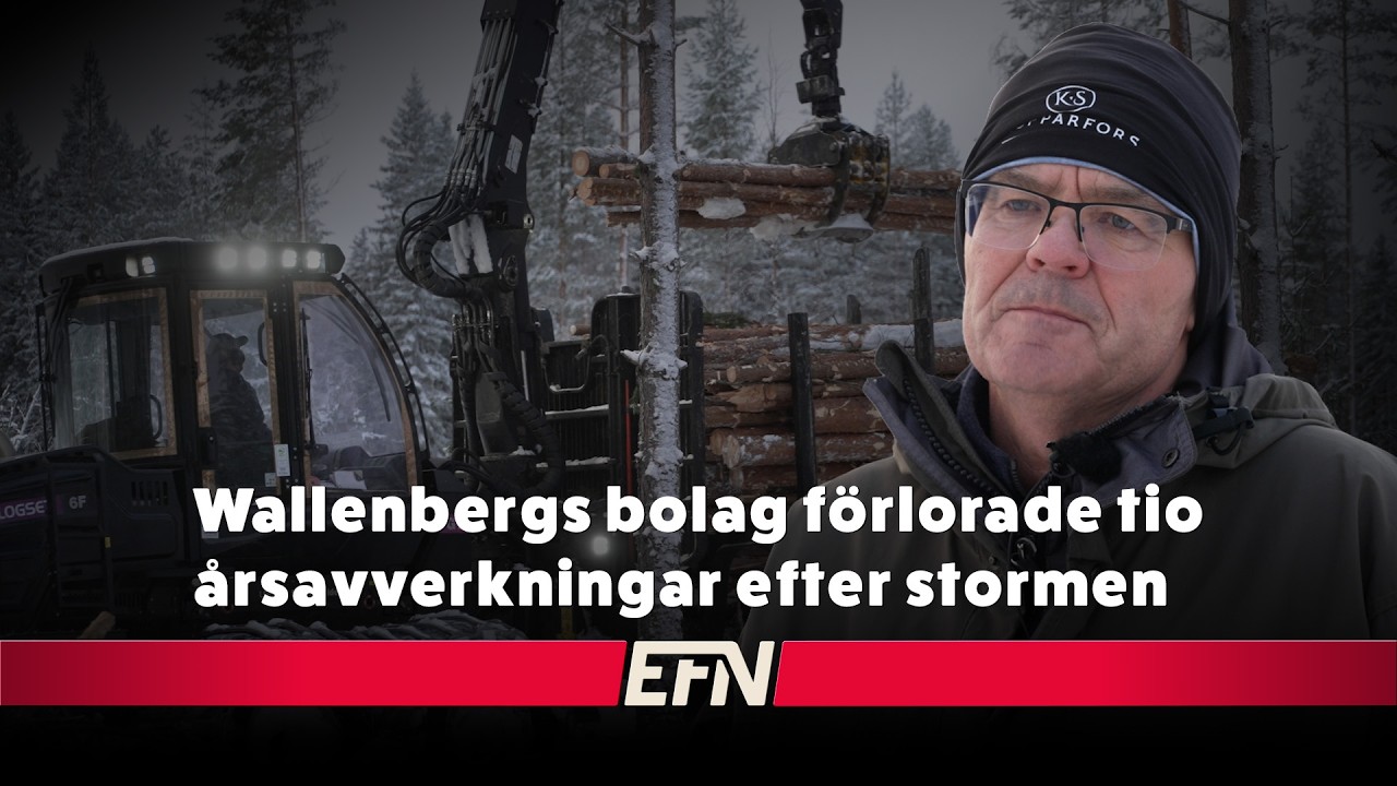 Tio års avverkning förlorat över en natt