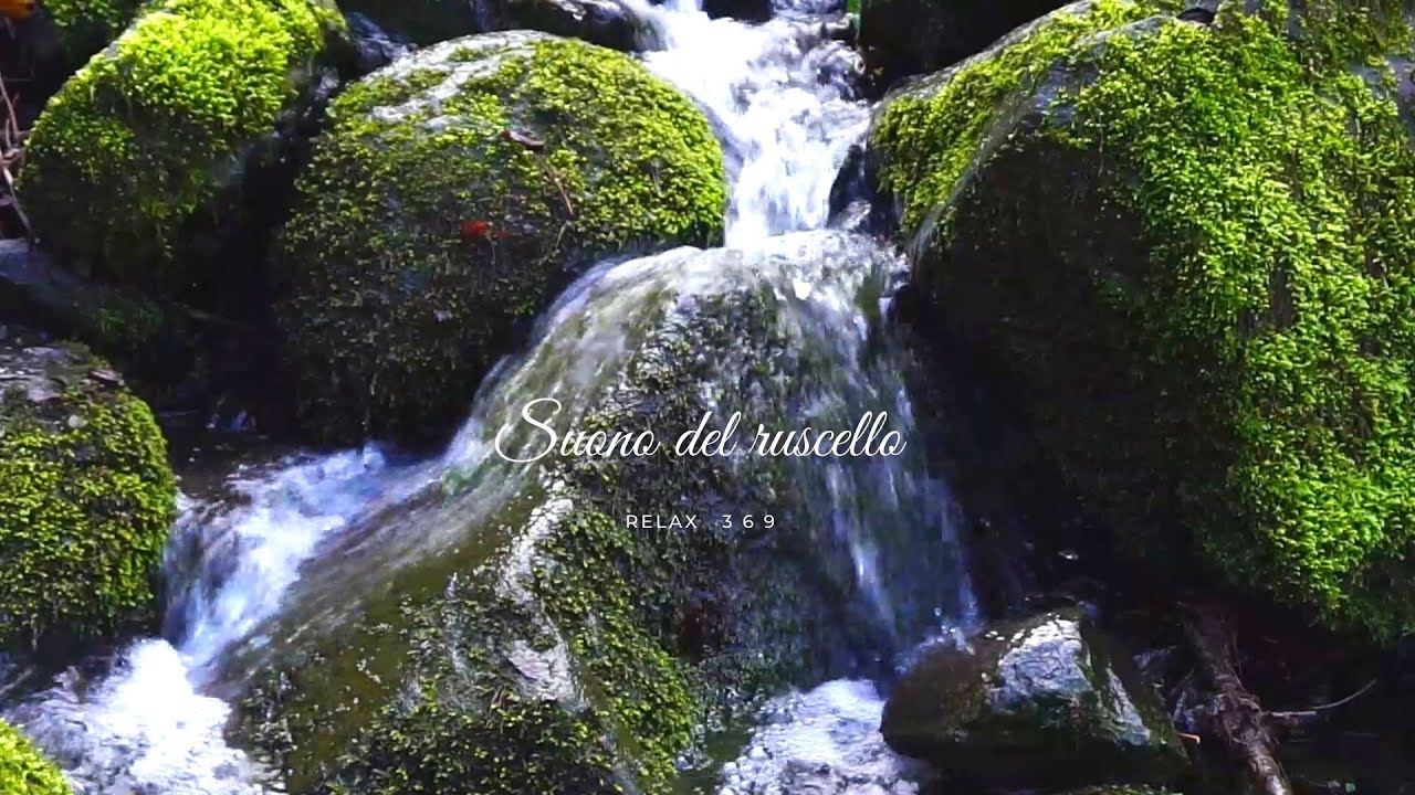 🎧Suono del Ruscello 🍃🧘🏽☔🌲🍃 Suono dell'acqua che scorre - Asmr 😴 Relaxing Sounds of Water Stream