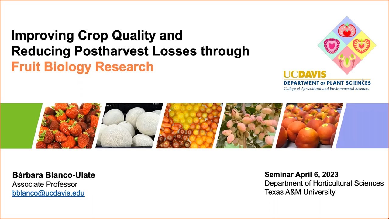 Improving Crop Quality and Reducing Postharvest Losses Through Fruit Biology Research