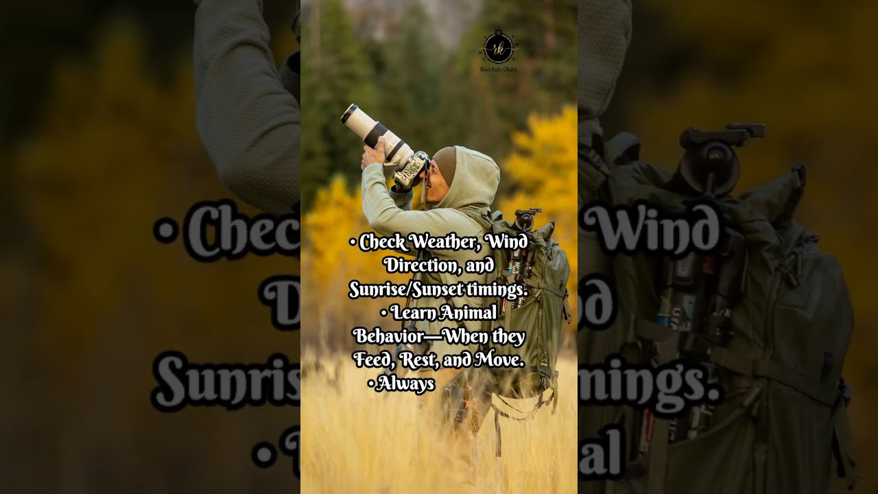 &ldquo;Wildlife Photography Magic: Capturing Nature&rsquo;s Untold Moments 🦁📸✨&rdquo;