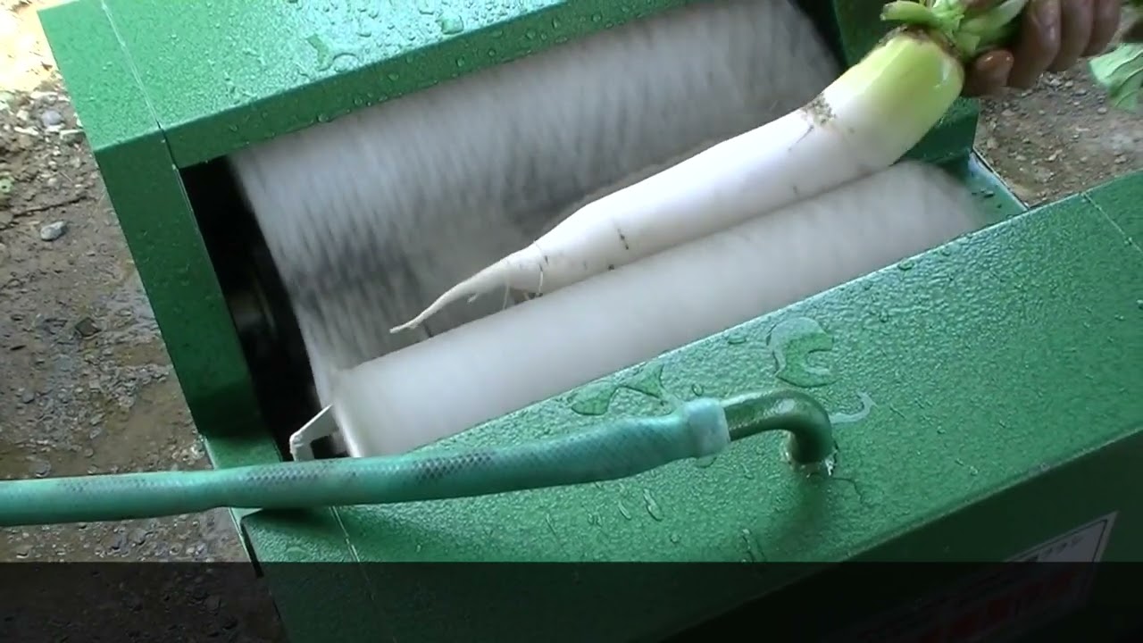 ダイコン洗浄機　DZ2 330