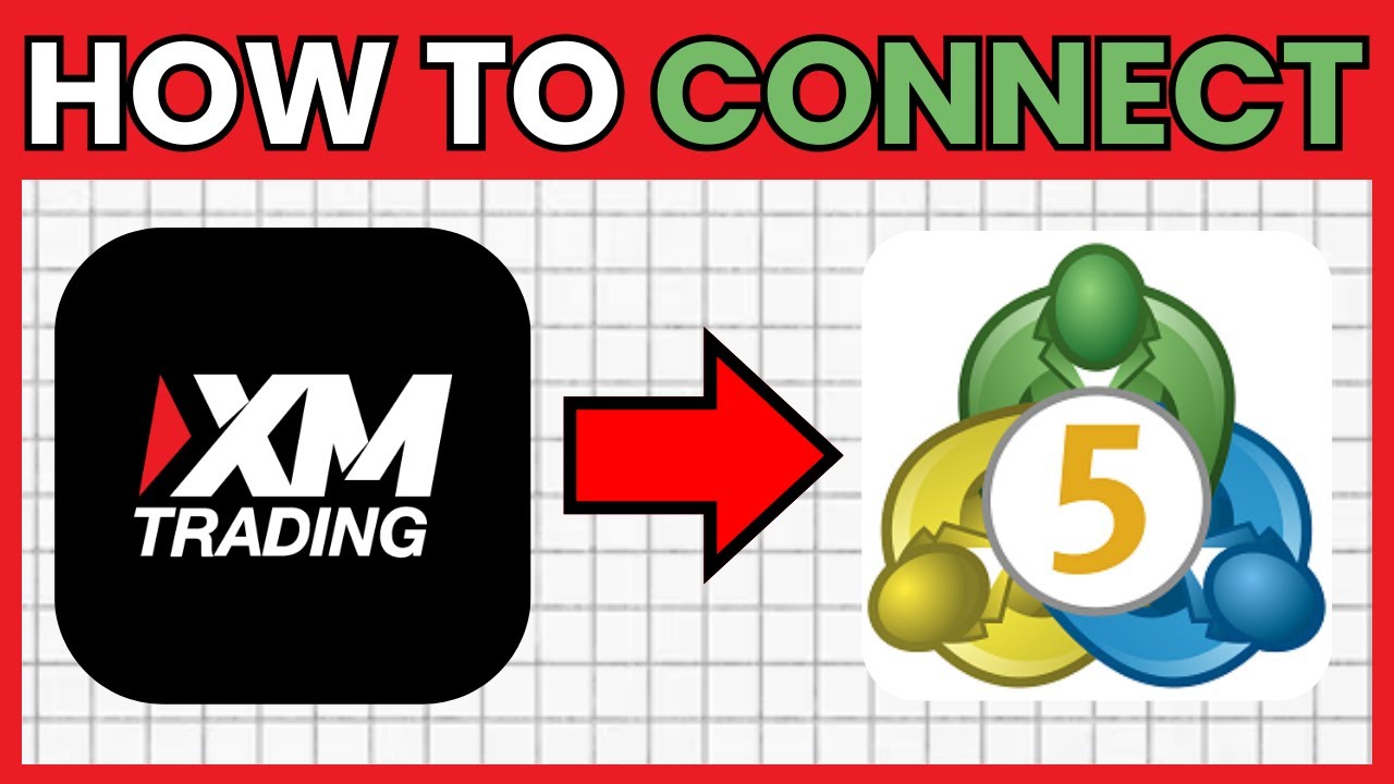 How To CONNECT My XM Account To MetaTrader 5 (QUICK & EASY) 2026