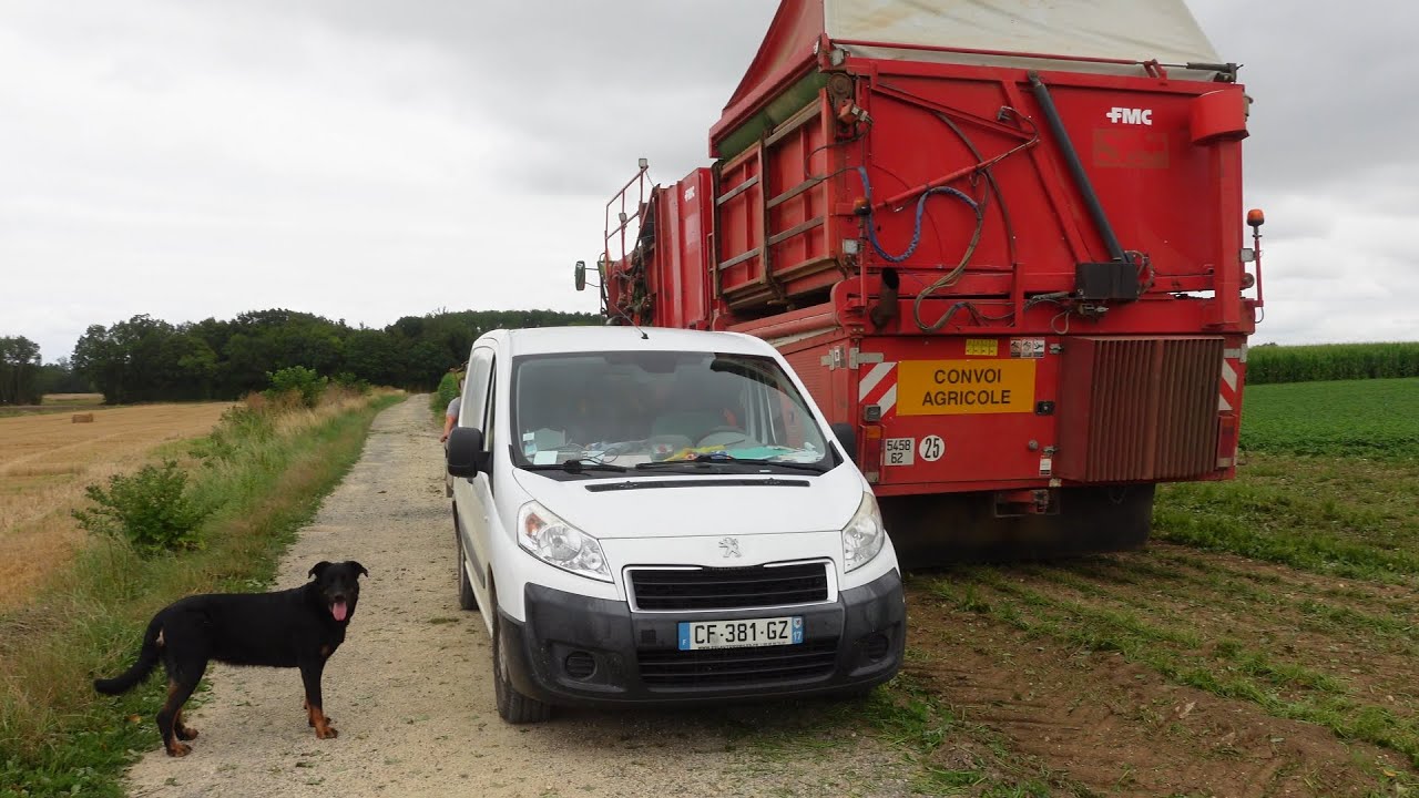 Deuxième Semaine Dans les Haricots de Charente-Maritime ! Saison 2024