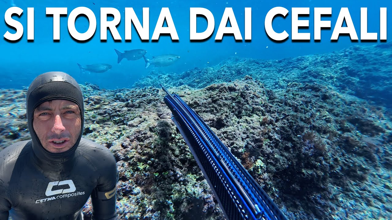 PESCASUB: CHE BELLO PESCARE SOTTOCOSTA! POSSONO FARLO TUTTI