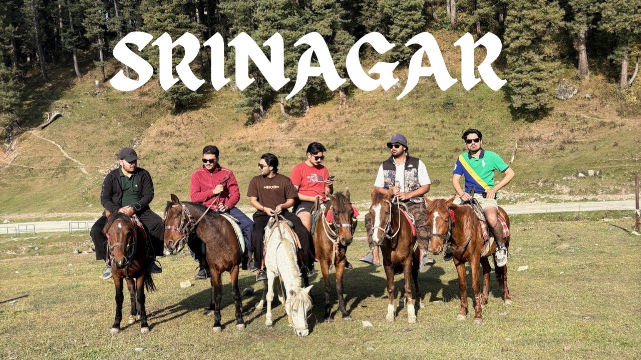 DAY-3 MORNING BREAKFAST AT GULMARG || WAY TO SRINAGAR || KASHMIR BEST PLACES