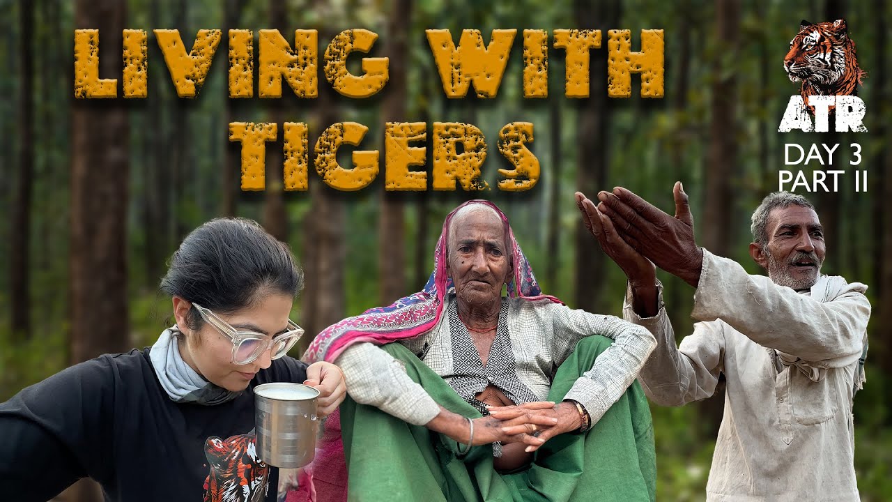 One-Family surrounded by the Tigers of Sariska Tiger Reserve | Project All Tiger Reserves| Day 3