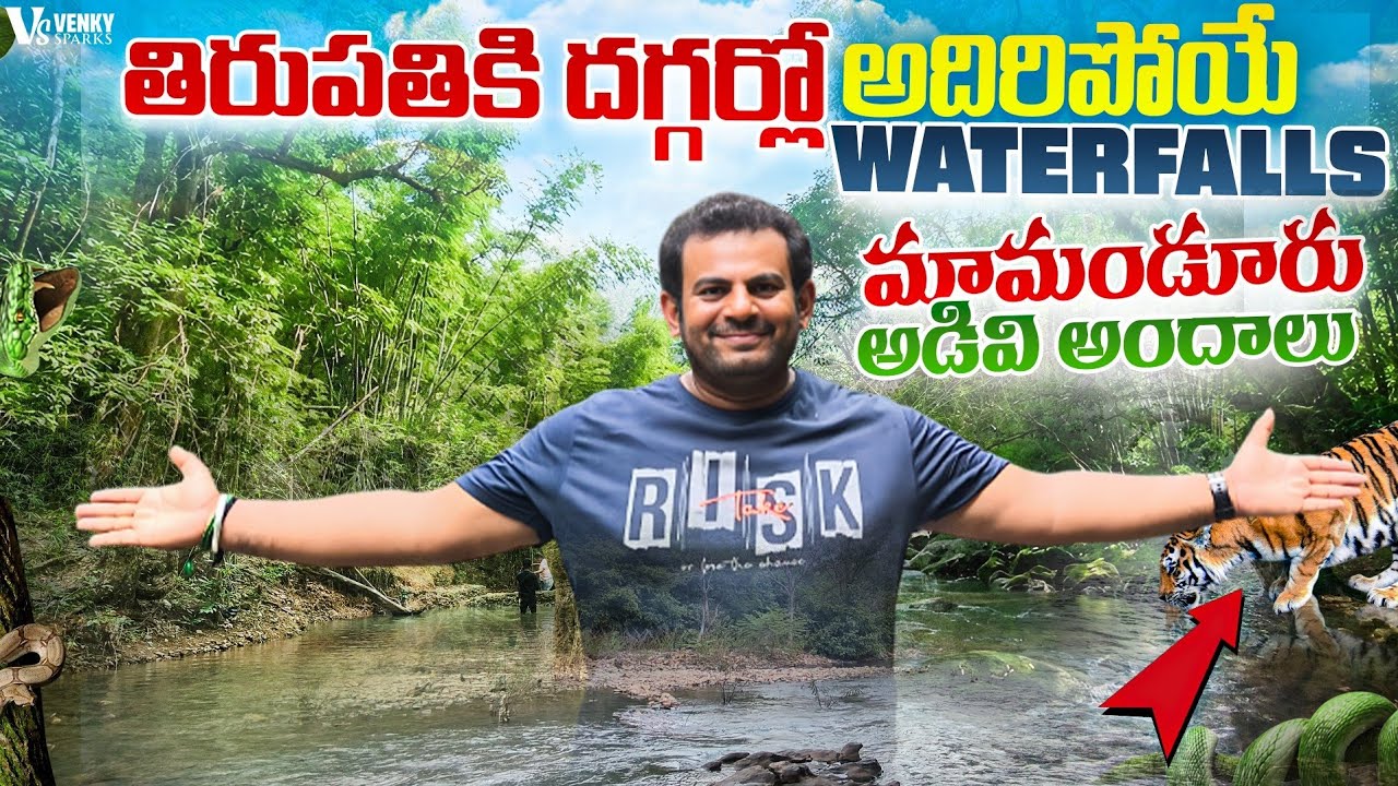 తిరుపతి దగ్గరలో అదిరిపోయే Waterfalls | Mamandur అడవి అందాలు | Waterfalls Near By Tirupati 