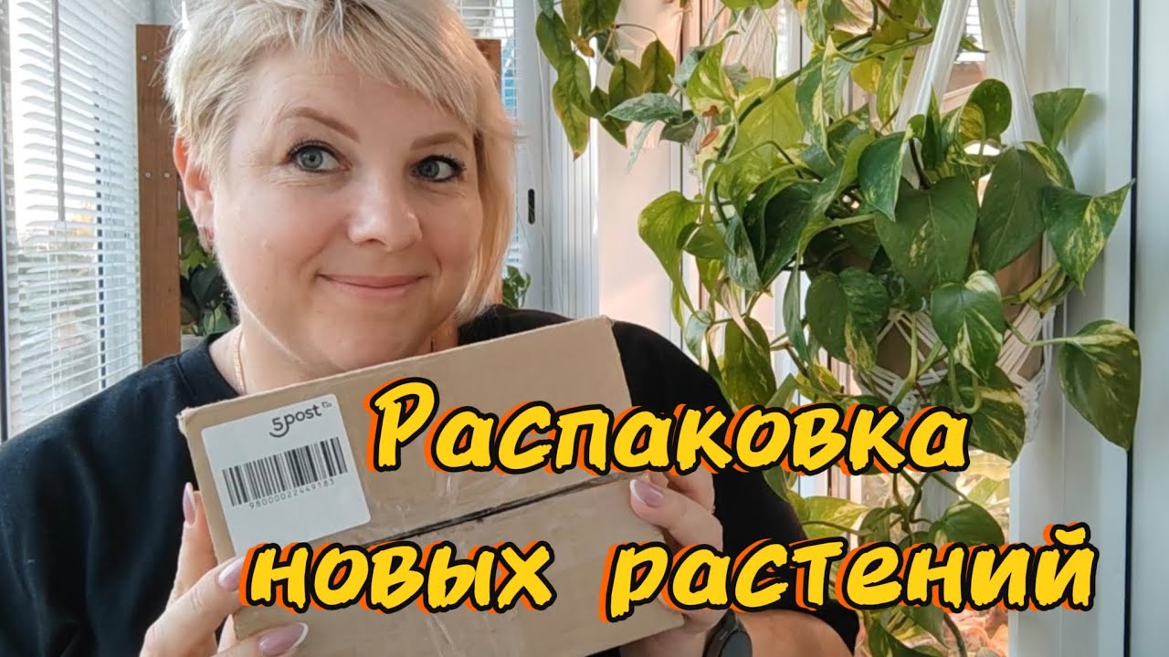 Распаковка посылки с новыми растениями 