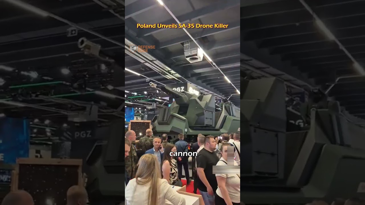 СА-35: ответ Польши на угрозу со стороны беспилотников