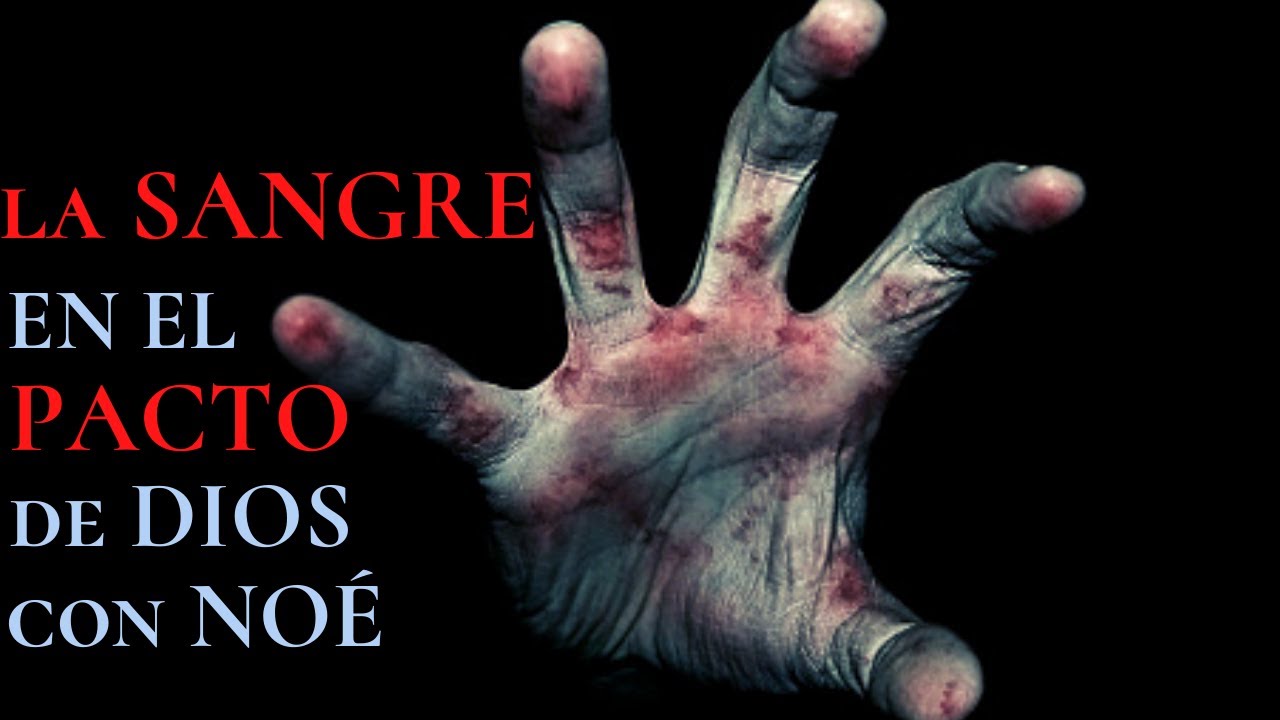 La importancia de la SANGRE en el pacto que hizo DIOS con Noé - Génesis 9 | Parte 1