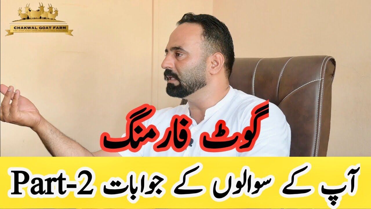 Goat Farming Question Answer.Part-2. Chakwal Goat Farm.Chaudhry Majid Shabbir #goatfarmingtraining