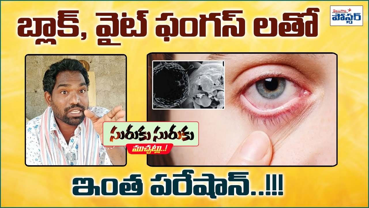 జర పైలం...! Black & White Fungus | @telanganaposter |