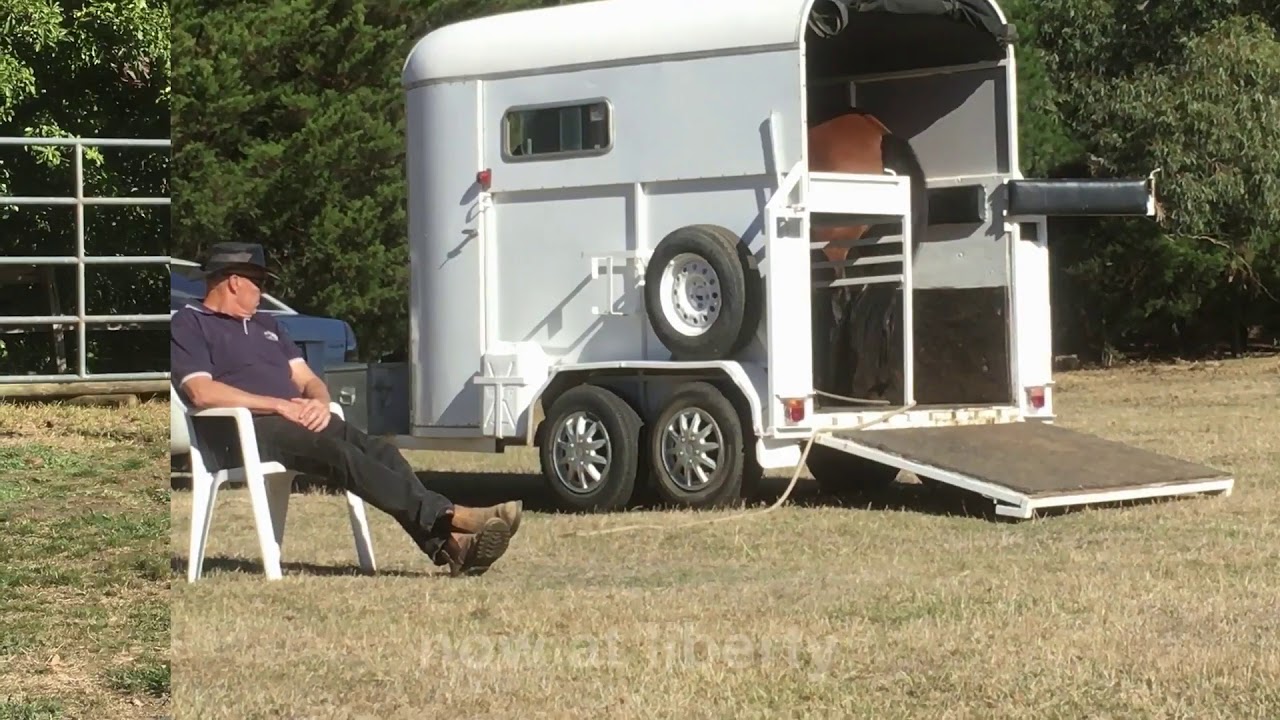 Horse Training - Float Loading Problem Horses 5