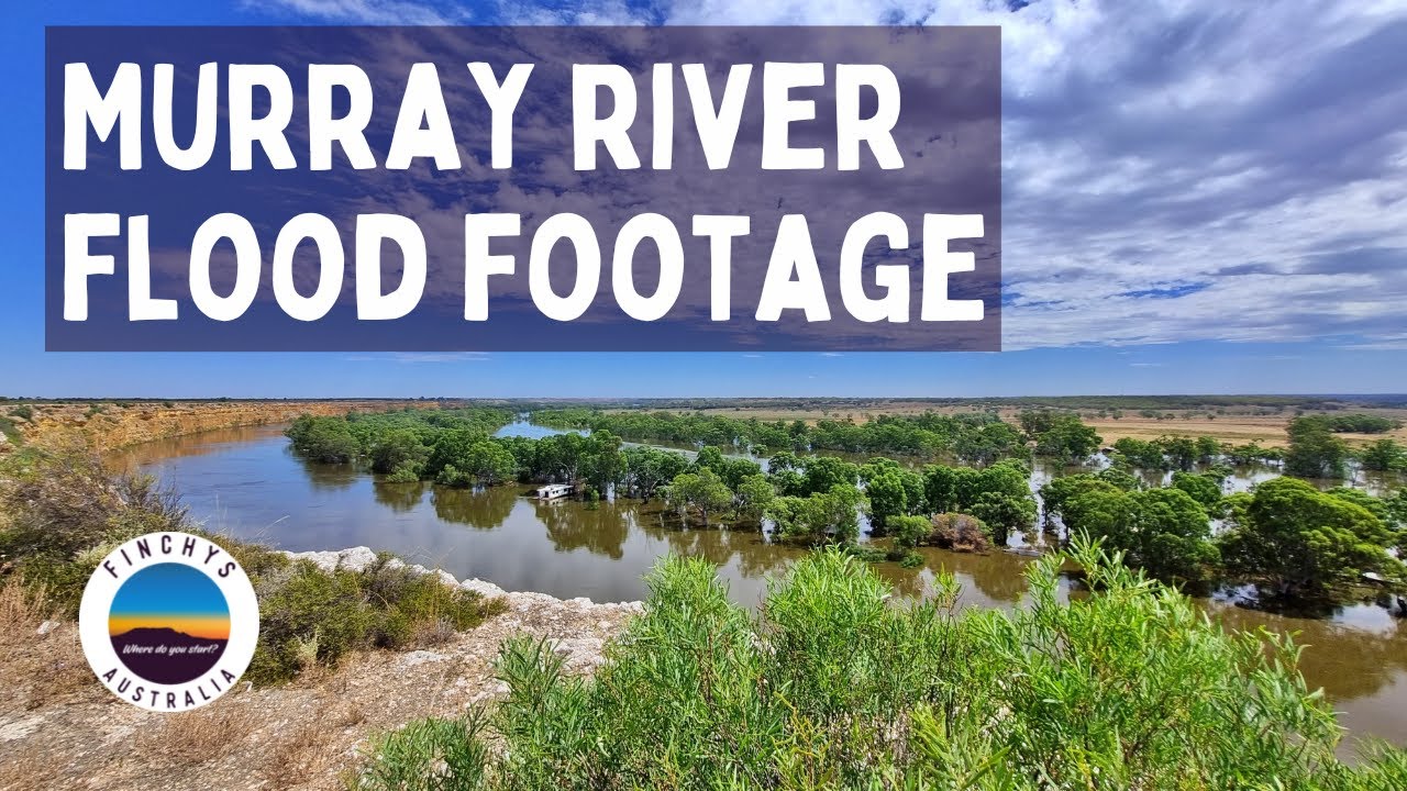 Murray River Flood Footage | SA | Murray Bridge to Waikerie