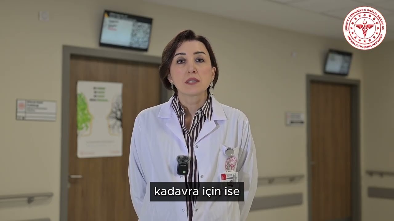 Böbrek naklinde dikkat edilmesi gereken unsurlar nelerdir?