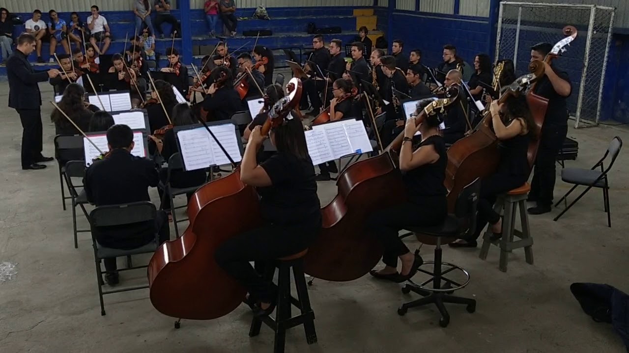 Paint It Black (Westworld)/ Orquesta Sinfónica del Atlántico