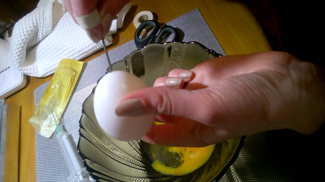 Як видути яйце для писанки / How to blow out eggs for Easter eggs