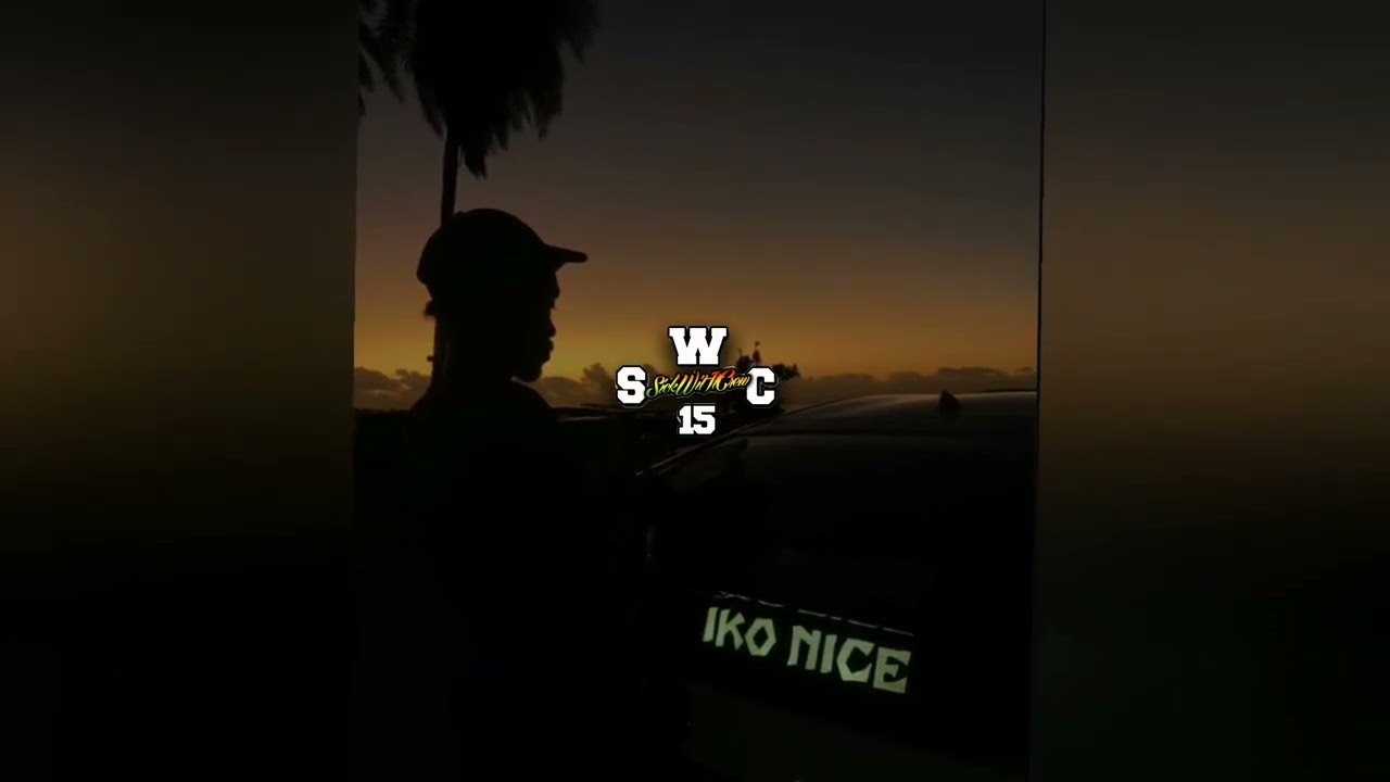 WILL NEVER FALL AGAIN X DJ BEN