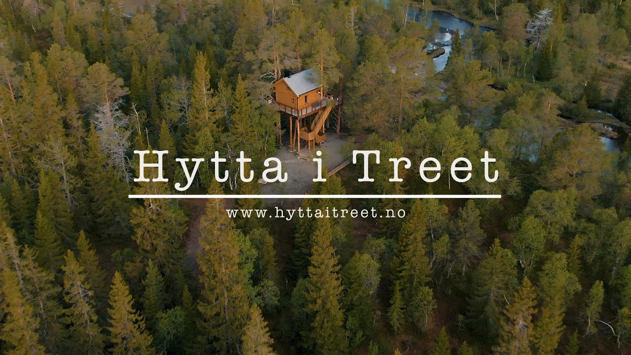 Hytta i Treet