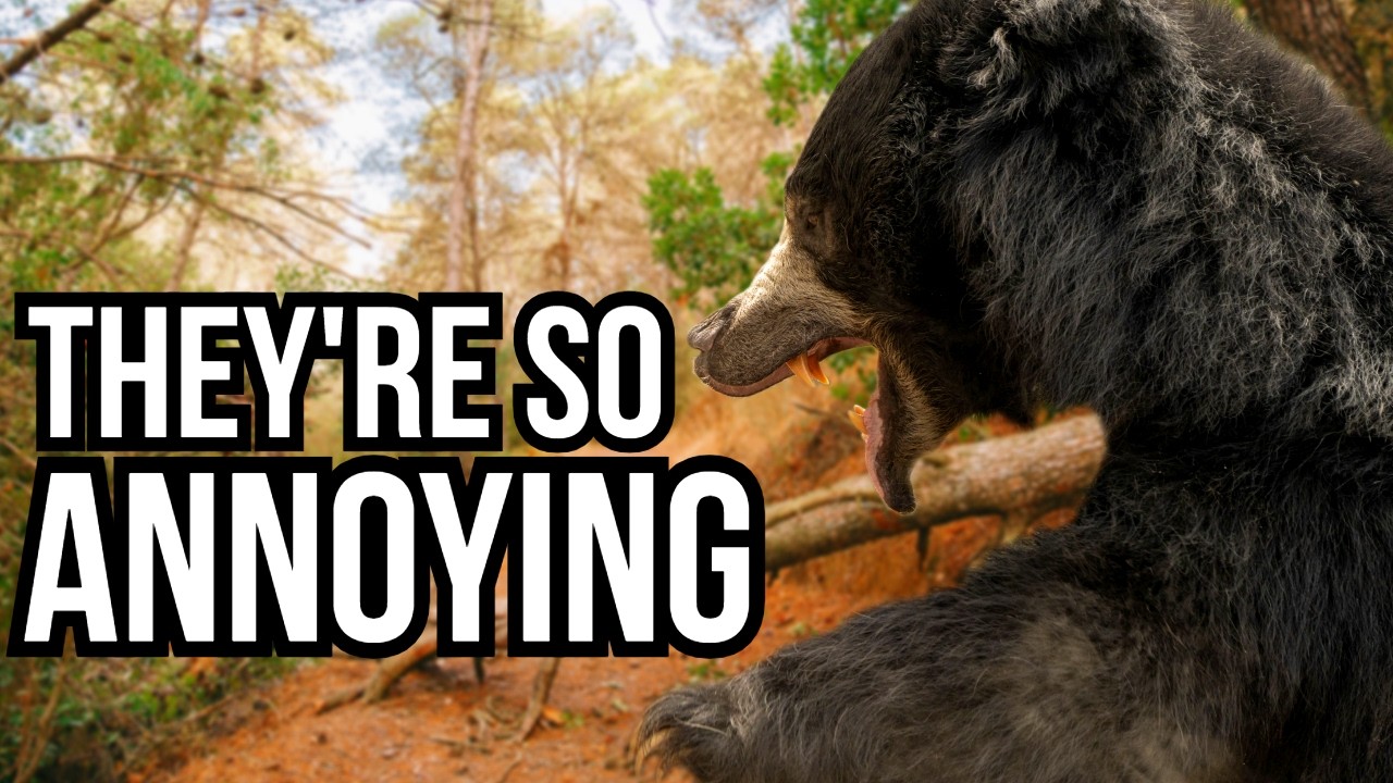 6 Animals That Are So Annoying That Predators And Competitors Leave Them Alone