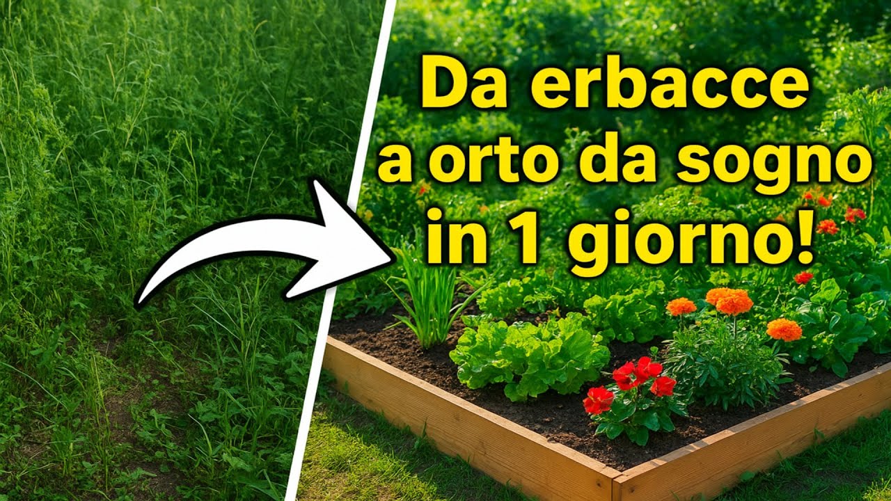 Come trasformare le erbacce in un orto da sogno in un solo giorno 🌱 Il metodo infallibile.