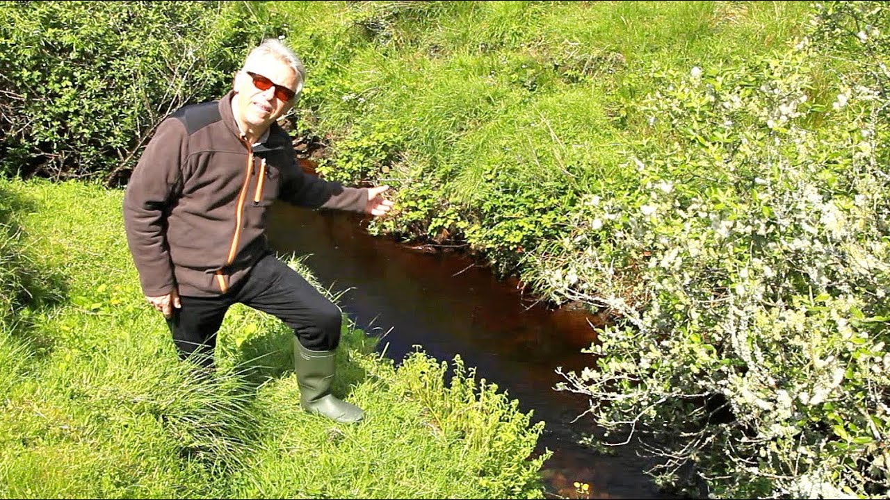 Wo Angelt Man In Irland, Folge VI.1