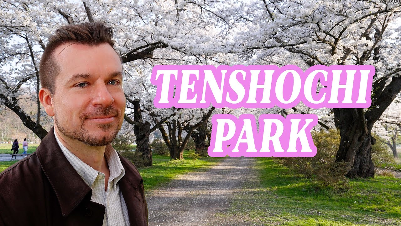 Cherry Blossoms at Tenshochi Park - One of the Three Best Sakura Spots in North Japan