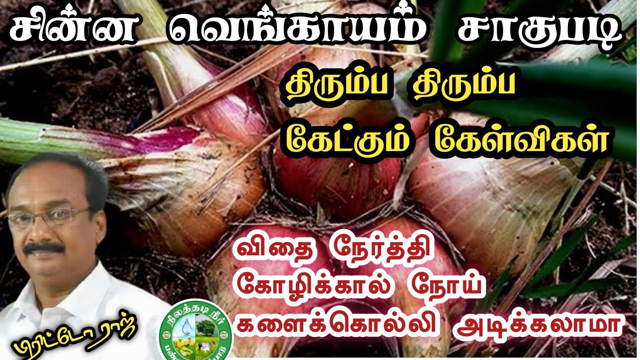 சின்ன வெங்காயம் சாகுபடியில் முக்கியமான சந்தேகங்களும் விளக்கங்களும் || கோழிக்கால் நோய், களைக்கொல்லி