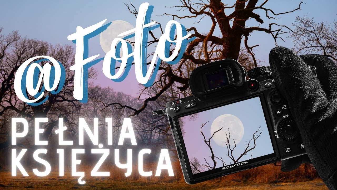 🌕 как фотографировать луну - пейзажная фотография на лугах Рогалина РОЗОВАЯ ЛУНА
