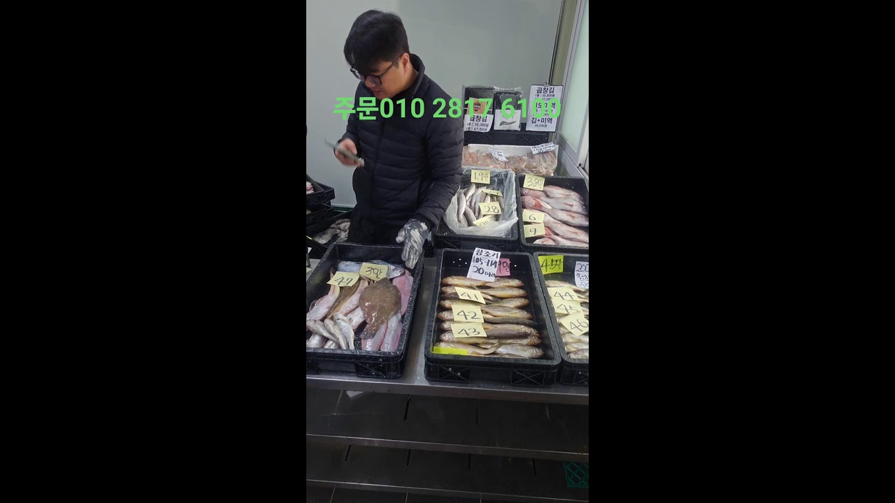 잡어판매#갈치#고등어#참돔#참조기