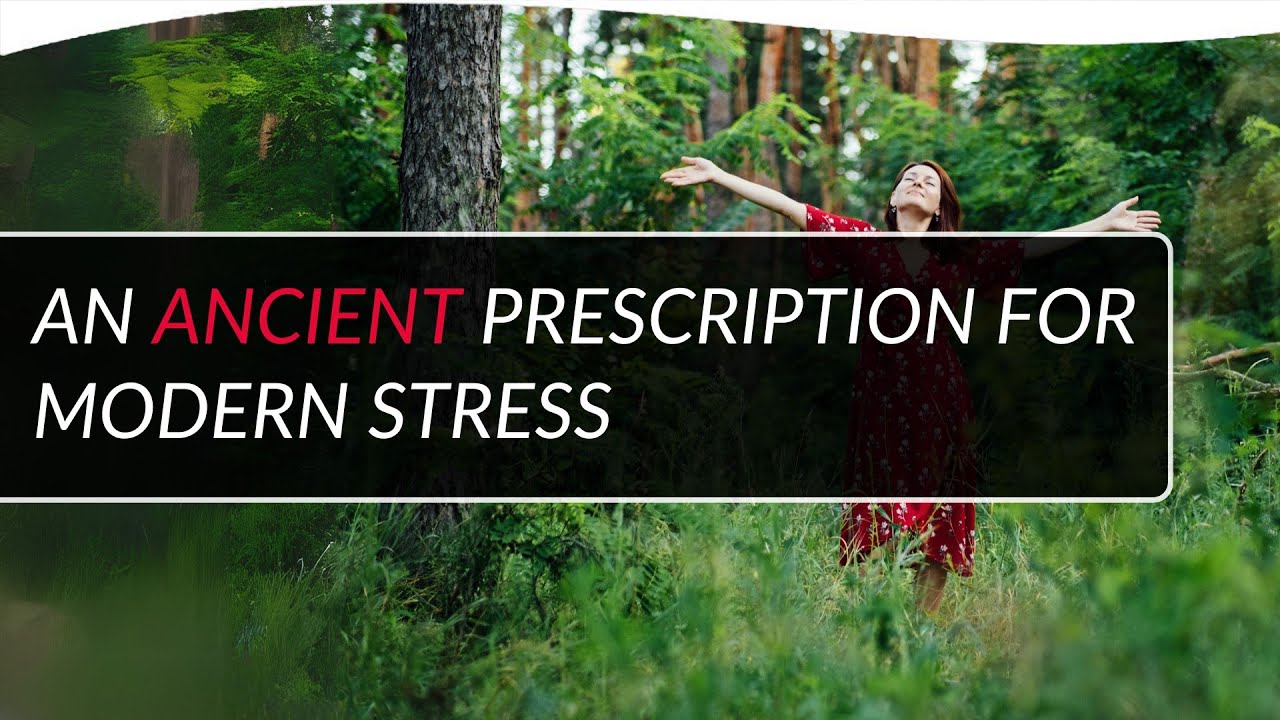 Awakening Health: An Ancient Prescription for Modern Stress | Trupti Gokani