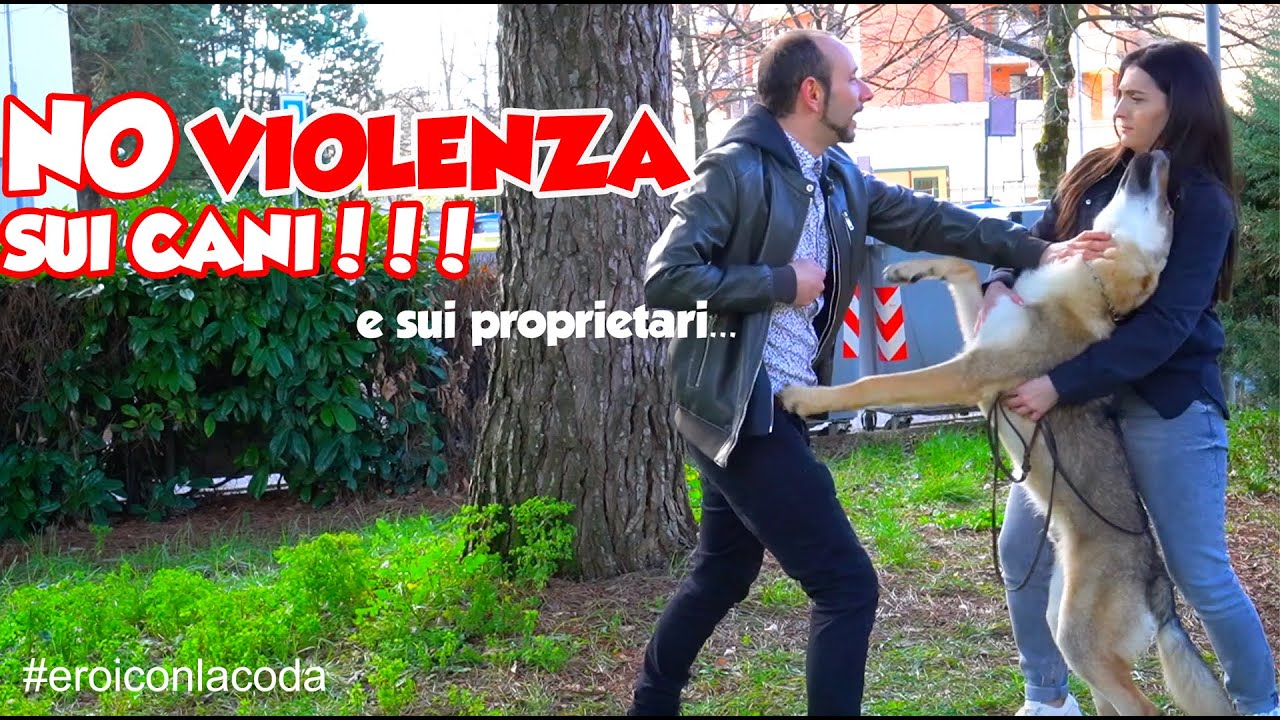 Il mio cane è un EROE!