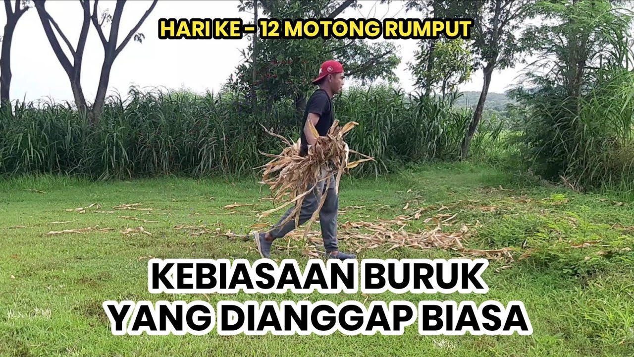 PROSES PEMOTONGAN RUMPUT LAPANGAN SEPAK BOLA | PART 12