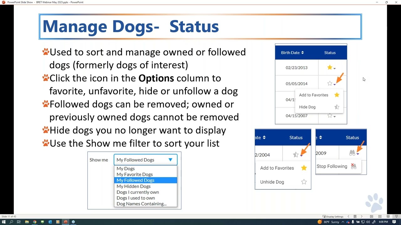 AKC Breeder Toolkit Overview - Webinar