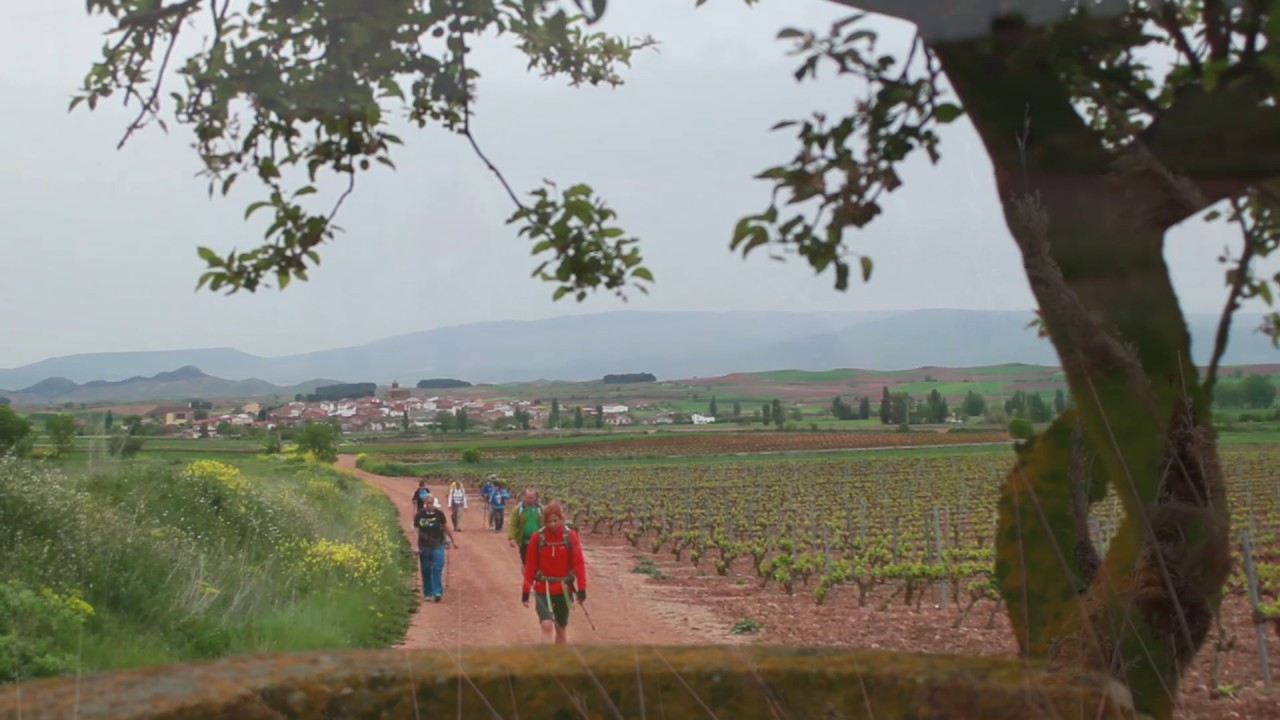 Etapa 9: Najera a Santo Domingo de la Calzada.