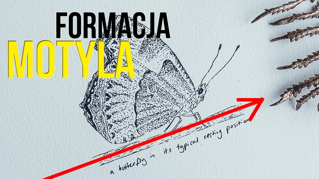 Formacja motyla | #55 Kurs Analizy Technicznej