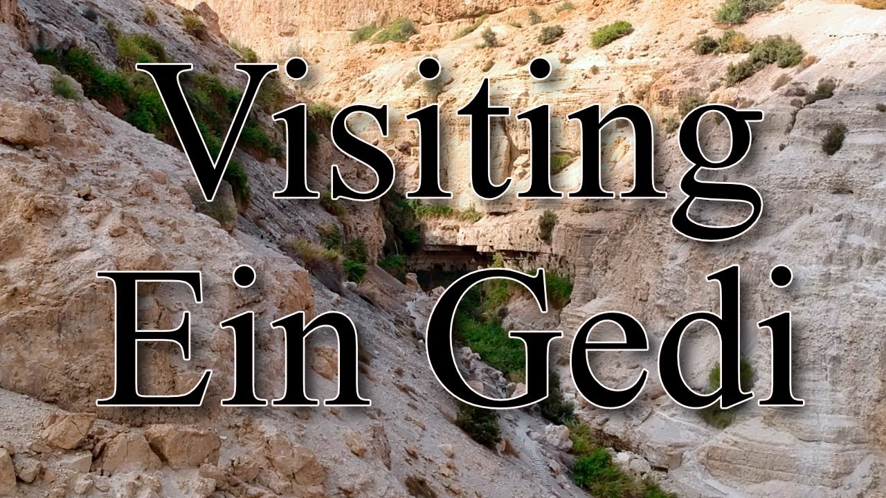 Visiting Ein Gedi