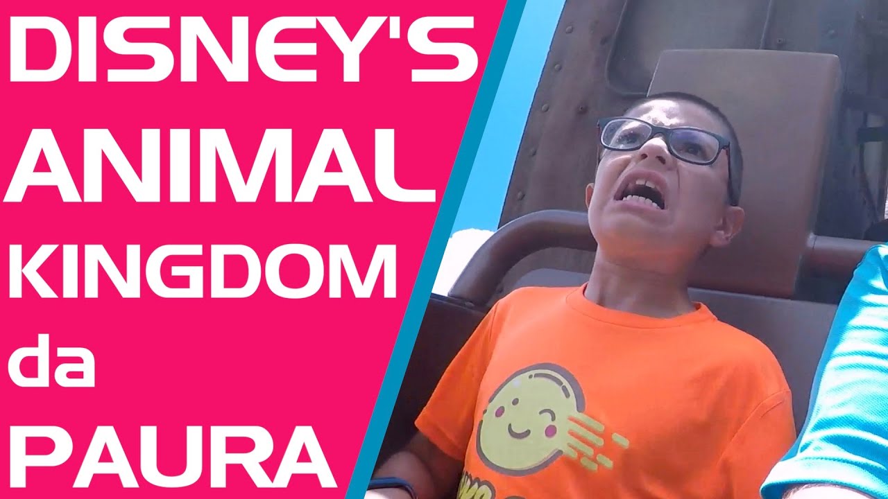 ANIMAL KINGDOM - Il parco Disney PIU GRANDE la MONDO - Descrizione completa