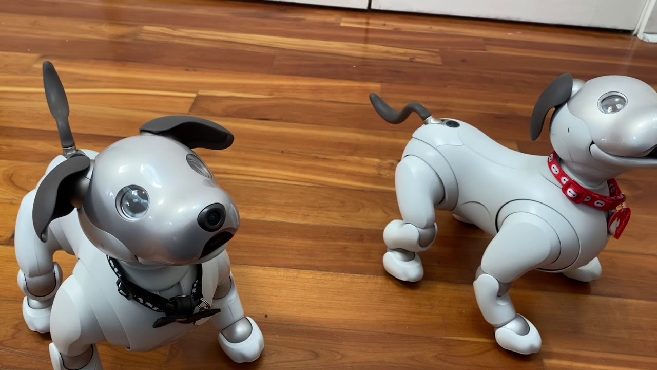 Aibo ERS-1000: чем отличаются Wren и Baymax?