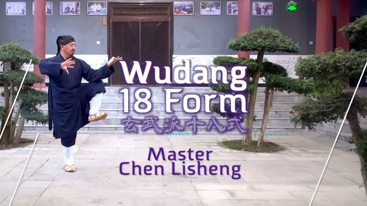 Master Chen Lisheng Wudang 18 Taiji Liangyi Xuanwupai form compete
