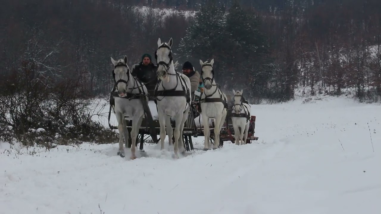 Lovasszánoztunk Szilvásváradon